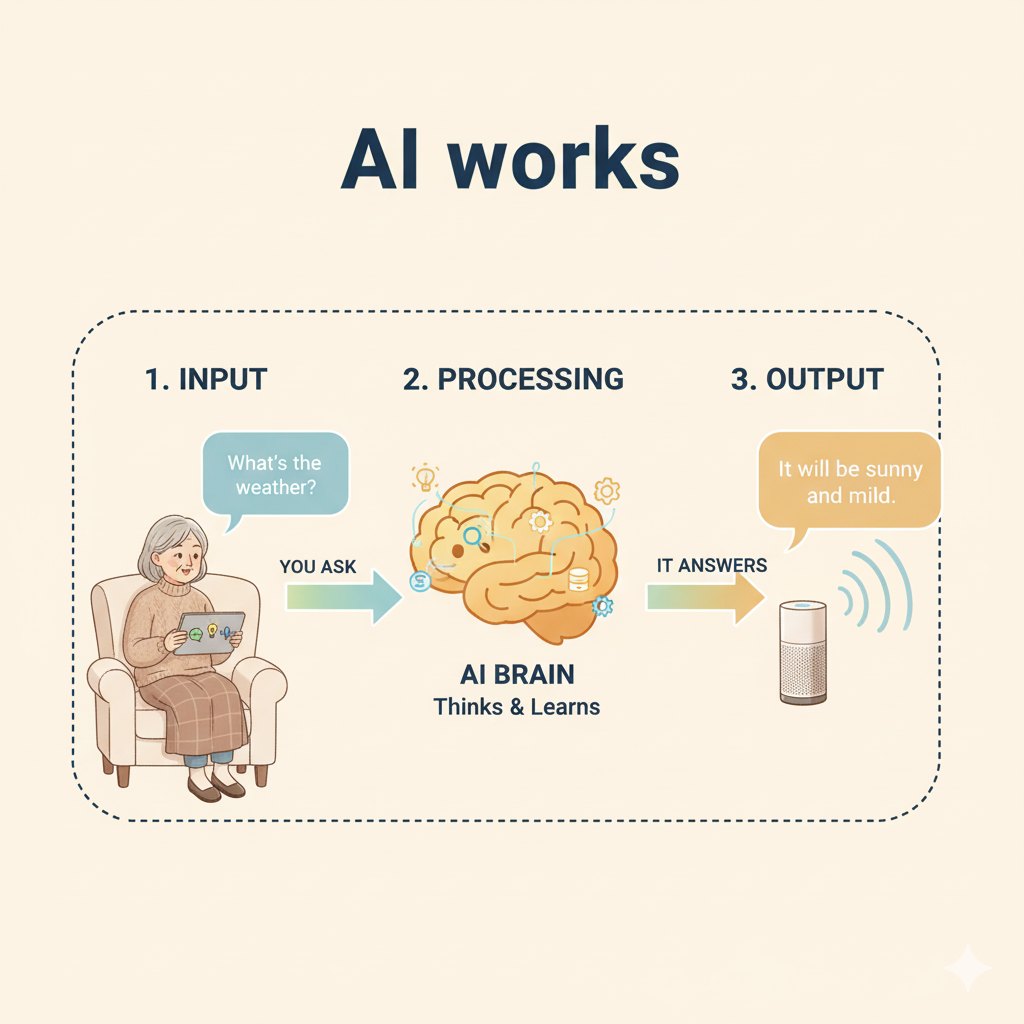 Simple diagram showing how AI works for seniors: on the left, a senior person asks a device a question; in the middle, a friendly AI brain processes it; on the right, the answer returns, with clear arrows and senior-friendly colors.